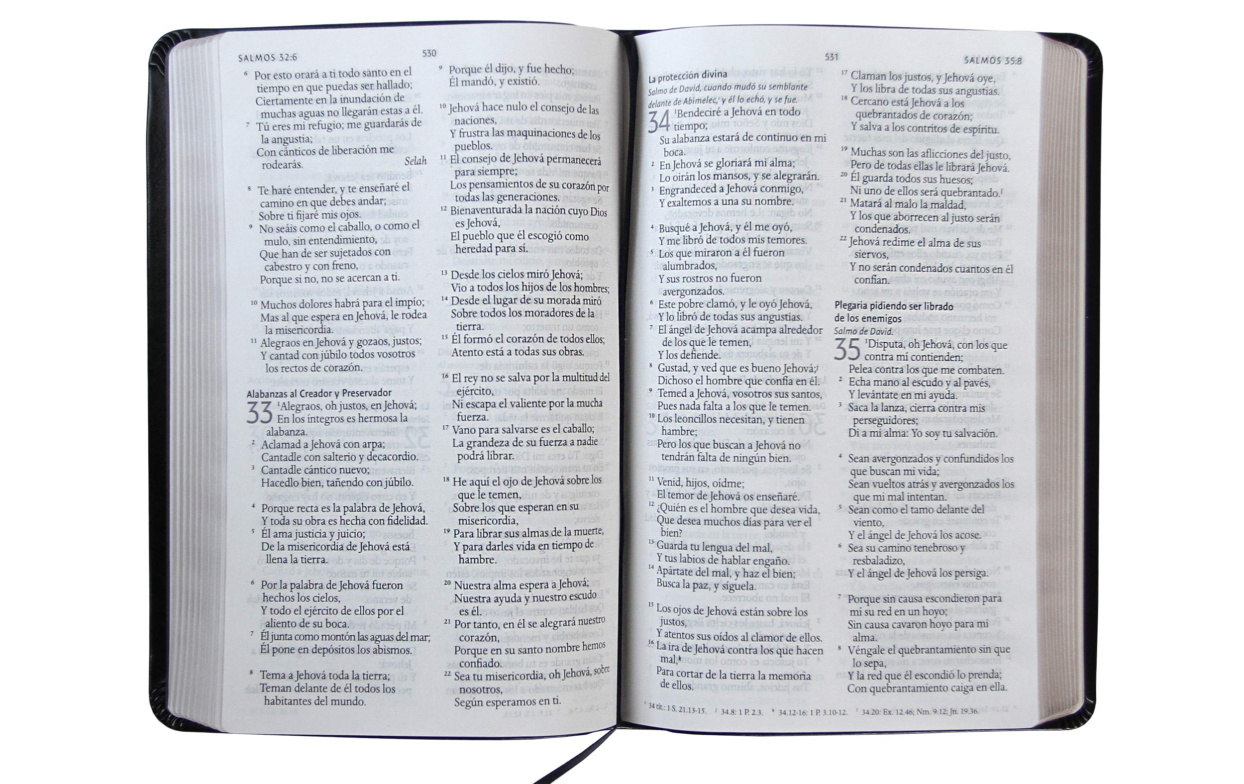 Biblia Reina Valera 1960 letra grande. Símil piel color negro, tamaño manual / Spanish Holy Bible RVR 1960. Handy Size, Large Print, Black Leathersoft