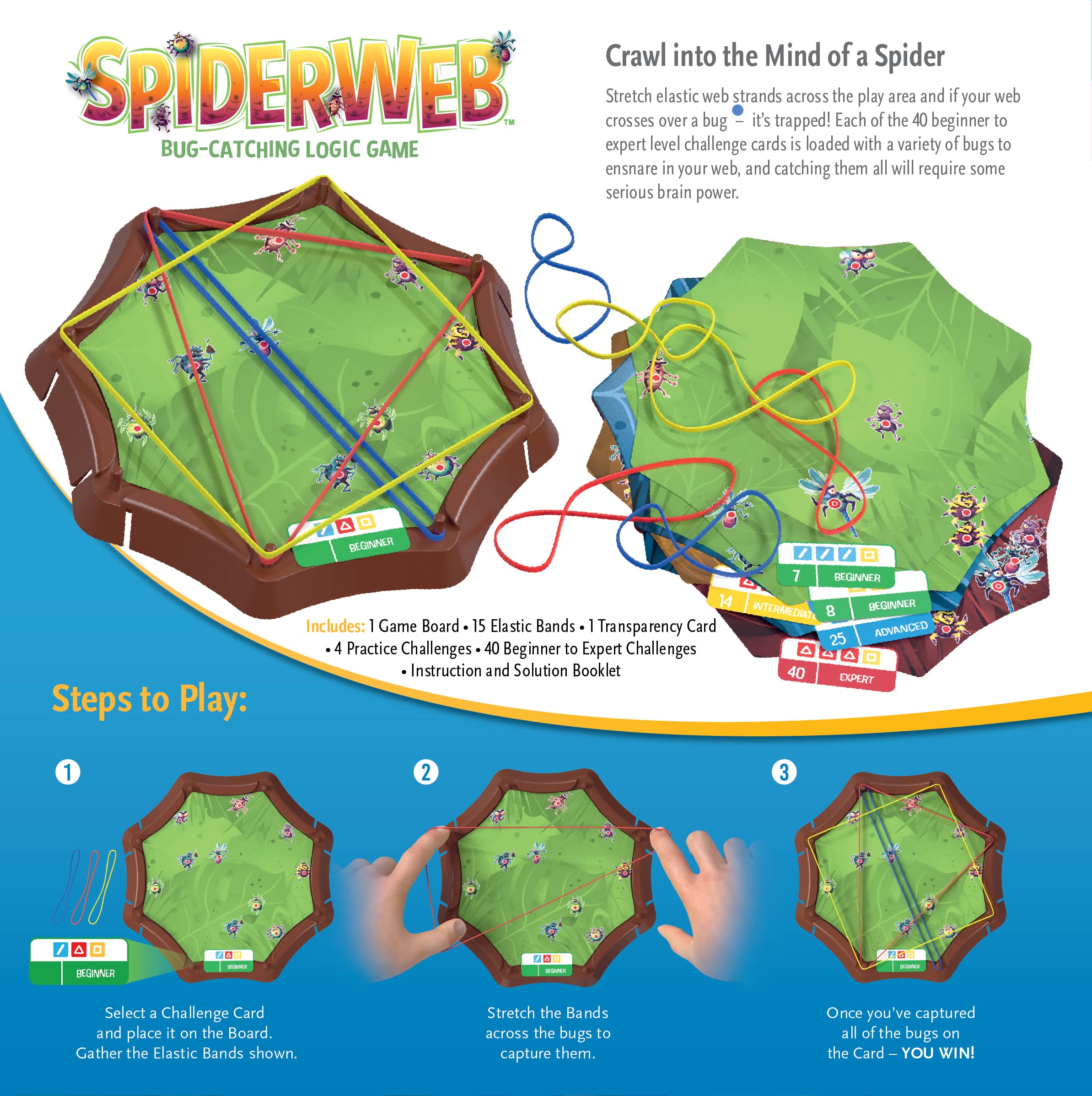 Spiderweb: A Bug-Catching Logic Game for Ages 8+