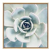 Sylvie Botanical, Succulent 7, Color Photograph, Framed Canvas Square Wall Art by F2 Images, 30x30 Natural