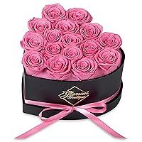 16-Piece Forever Flowers Heart Shape Box - Preserved Roses, Immortal Roses That Last A Year - Eternal Rose Preserved Flowers for Delivery Prime Mothers Day & Valentines Day - Pink