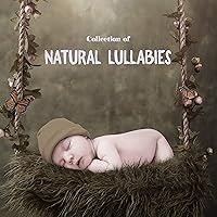 Collection of Natural Lullabies - Sounds of the Forest That Will Calm Your Child and Help Him Fall Asleep Without Crying, Music Therapy for Baby Sleep, Starry Night, Toddlers Collection of Natural Lullabies - Sounds of the Forest That Will Calm Your Child and Help Him Fall Asleep Without Crying, Music Therapy for Baby Sleep, Starry Night, Toddlers MP3 Music