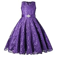 Tulle Lace Dress for Girls Princess Pageant Ball Gowns Flower Girl Wedding Party Dress Tulle Prom