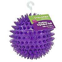 Gnawsome Medium Squeaker Ball Dog Toy, Medium 3.5