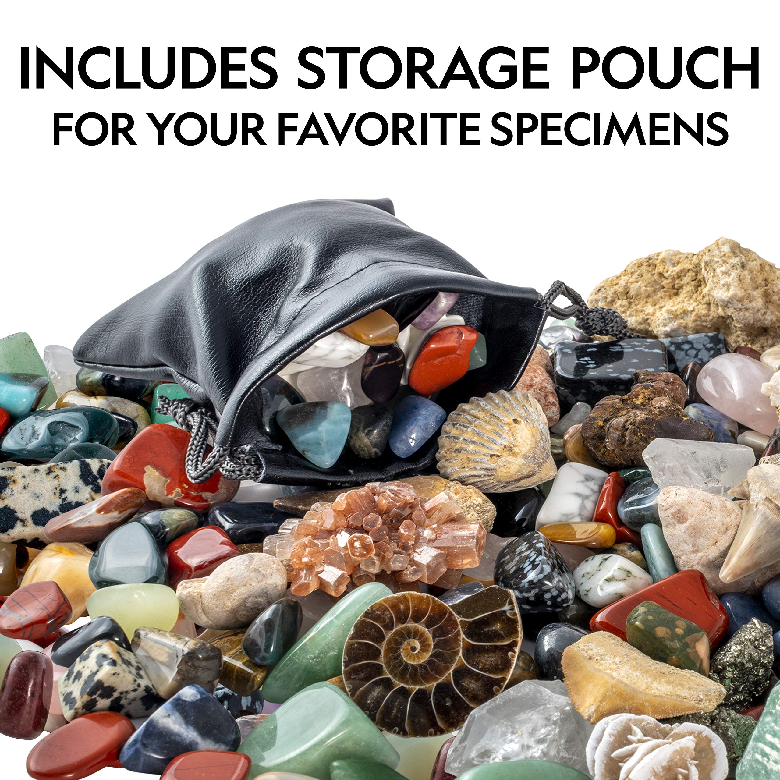 NATIONAL GEOGRAPHIC Rocks & Minerals Collection Box for Kids - 200+ Piece Gemstones & Crystals Set with Geodes & Real Fossils, Science Kit for Kids