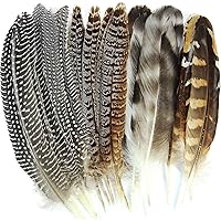 THARAHT 24pcs Natural Pheasant Feathers 4 Style 6-8inch 15-20cm for DIY Craft Home Party Wedding Performance Decorations Pheasant Feathers