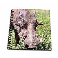3dRose db_83933_1 Common Warthog, Wildlife, Tanzania Africa - NA02 DNO0387 - David Northcott - Drawing Book, 8 by 8-Inch