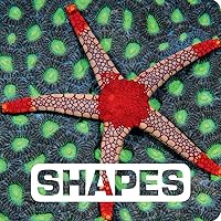 Shapes (Picture This) Shapes (Picture This) Board book Kindle Hardcover