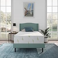 NapQueen Twin Size Mattress, 12 Inch Anula Green Tea Infused Memory Foam Mattress, Twin Size Mattress Bed in a Box, CertiPUR-US Certified Mattress