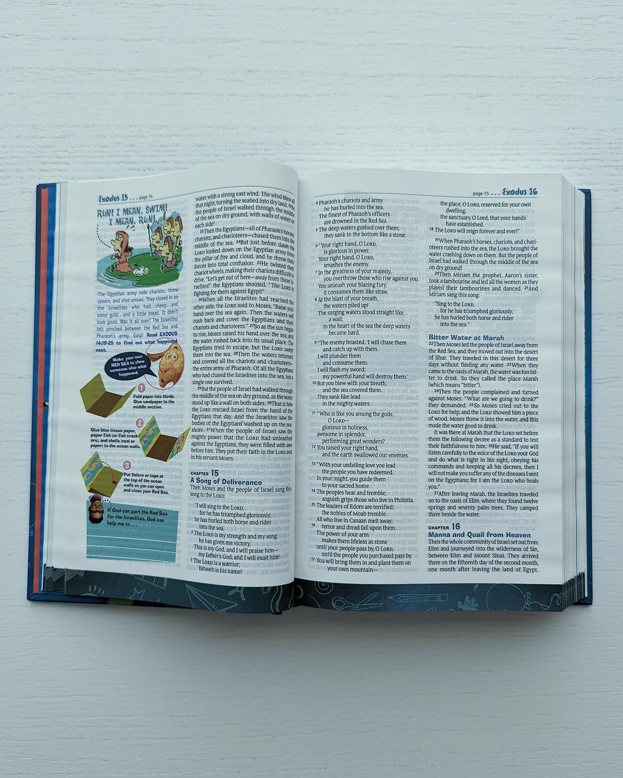 NLT Hands-On Bible, Third Edition (Hardcover)