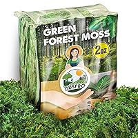 28 Oz Natural Green Sheet Moss Preserved Moss Terrarium Moss Green