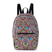 Sakroots Womens Eco-twill Sakroots On The Go Packable Backpack in Eco Twill, Rainbow Wanderlust, One Size US