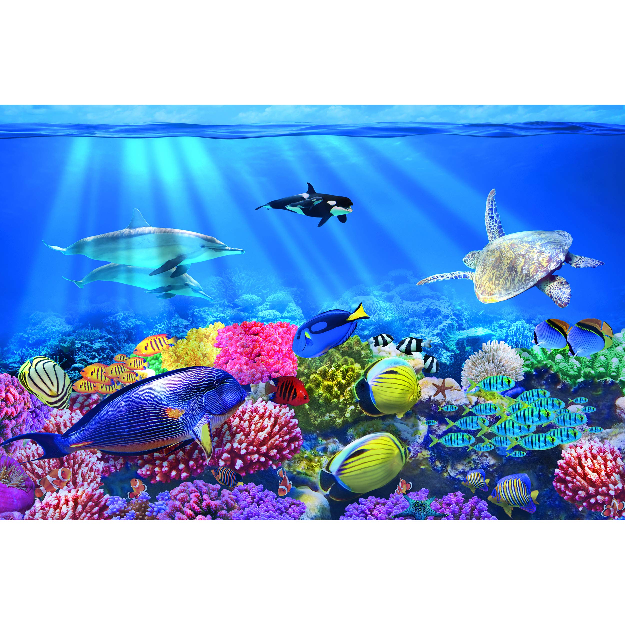 Kid’s Room Nursery Large Photo Wallpaper – Aquarium – Picture Decoration Underwater World Sea Dweller Ocean Fishes Coral Reef Image Decor Wall Mura...