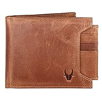 Mens Leather Wallet, Brown, Modern