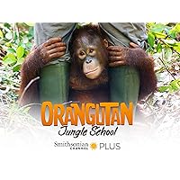 Orangutan Jungle School - Season 2