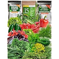 Collection of Hot and Sweet Pepper, Lettuce Greens and Culinary Medicinal Herb Seeds for Gardening - Heirloom Non-GMO USA Grown - Total 10000+ Most Needed Seeds for Planting Outdoor Indoor Hydroponic