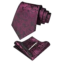 JEMYGINS Mens Solid Color Paisley Necktie and Pocket Square with Tie Clip Sets