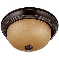 NUVO 60/1255 Flush Mounted Dome Light Fixture, 11