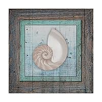 Framed Gypsy Sea Spiral Shell by Lightboxjournal, 18x18-Inch