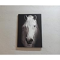 kayra export Contemporary Wall Art, Horse Photo Art, White Horse Canvas, White Horse Photo Print, Modern Poster, Horse Lover Gift Art, Canvas Wall Decor - Black Framed