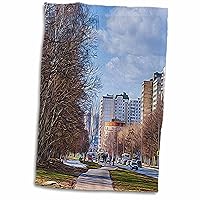 3dRose Small Moscow Street in Dormitory District in Early Spring - Towels (twl-272364-1)