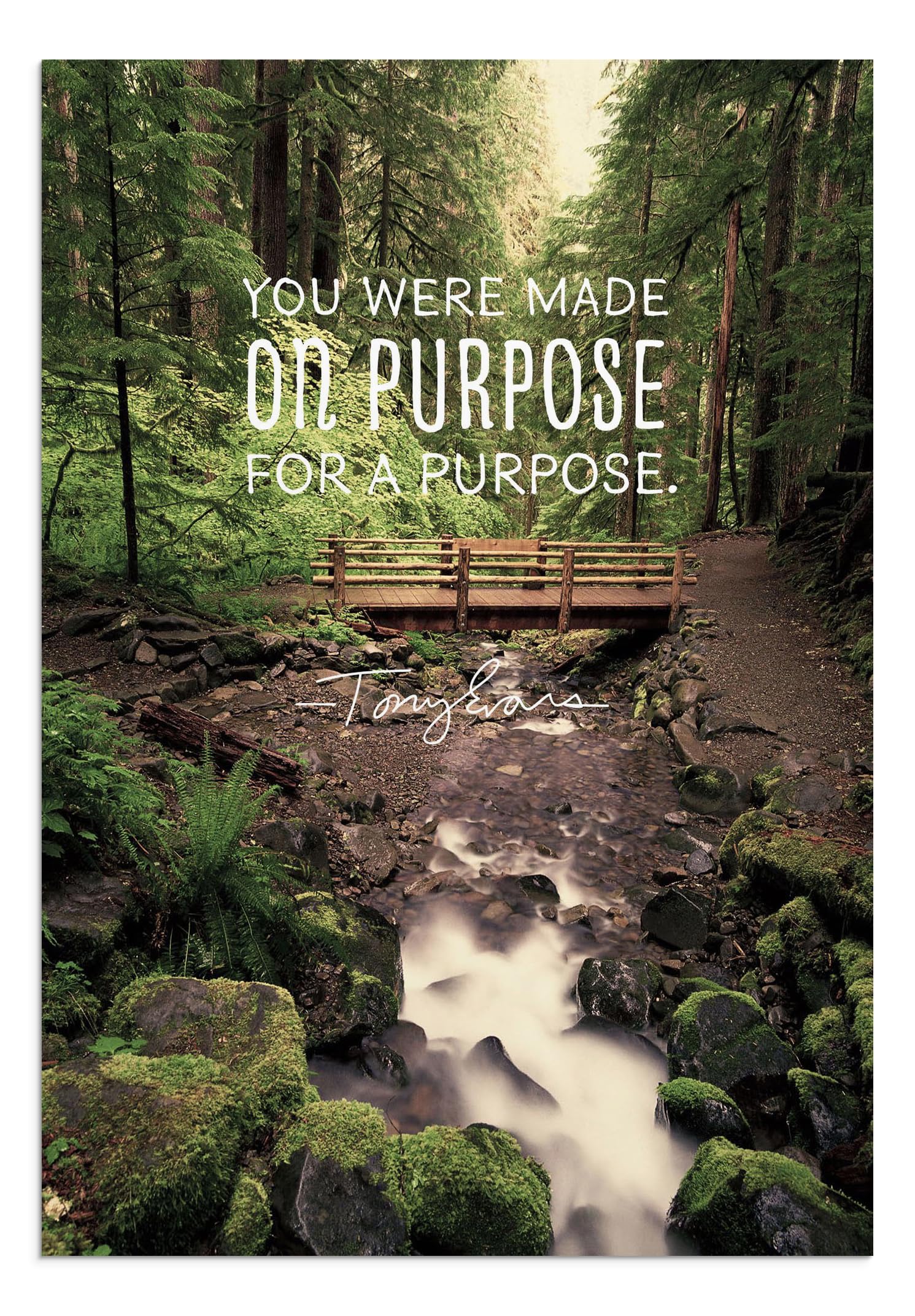 DaySpring - Tony Evans - You Were Made for a Purpose - 4 Design Assortment with Scripture - 12 Birthday Boxed Cards & Envelopes (18562)