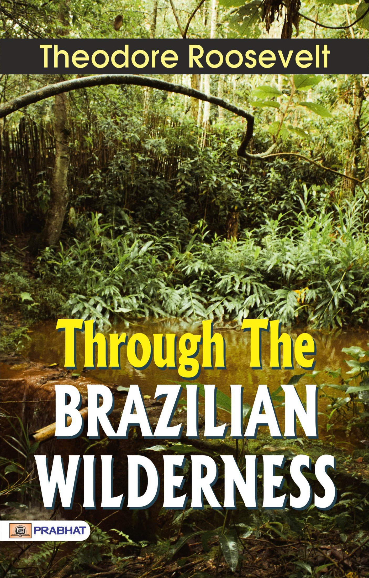 Through the Brazilian Wilderness: Theodore Roosevelt's Daring Exploration of the Amazon by Theodore Roosevelt