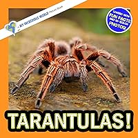 Tarantulas!: A My Incredible World Picture Book for Children (My Incredible World: Nature and Animal Picture Books for Children)