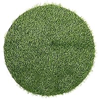 BESTOYARD Banquet Grass Mat Green Fake Grass Mat Artificial Grass Placemat Carpet Placemats for Kitchen Table Dining Table Decor Placemats Able Placemats Area Rugs Slide Rail Round Table PVC