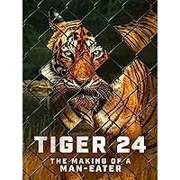 Tiger 24