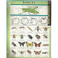 Insects Ready Reference (12-pack)