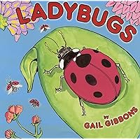 Ladybugs Ladybugs Paperback Kindle Hardcover