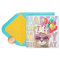 Papyrus Cat Birthday Card (One Cool Cat)