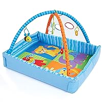 2 in 1 Playgym