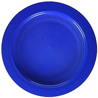Plate with Inside Edge, 9