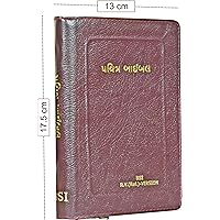 Gujarati Indian Language Bible-compact