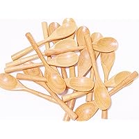 CandyHusky's Mini Wooden Spoons Condiments Salt Spoons Bamboo Style Handle Tembusu Wood (50)