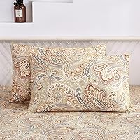 Pack of 2 Pillow Cases, 100% Cotton Pillowcases, Paisley Printed Luxury Classic Printed (Queen Size, 20x30 Inches)