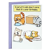 Hallmark Shoebox Funny Birthday Card (Cats Don't Care That It's Your Birthday), 1 unit, 349RZF1012