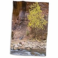 3dRose Virgin River, Box Elder Tree, Zion NP, Utah - US45 HGA0145 - Howie... - Towels (twl-94764-1)