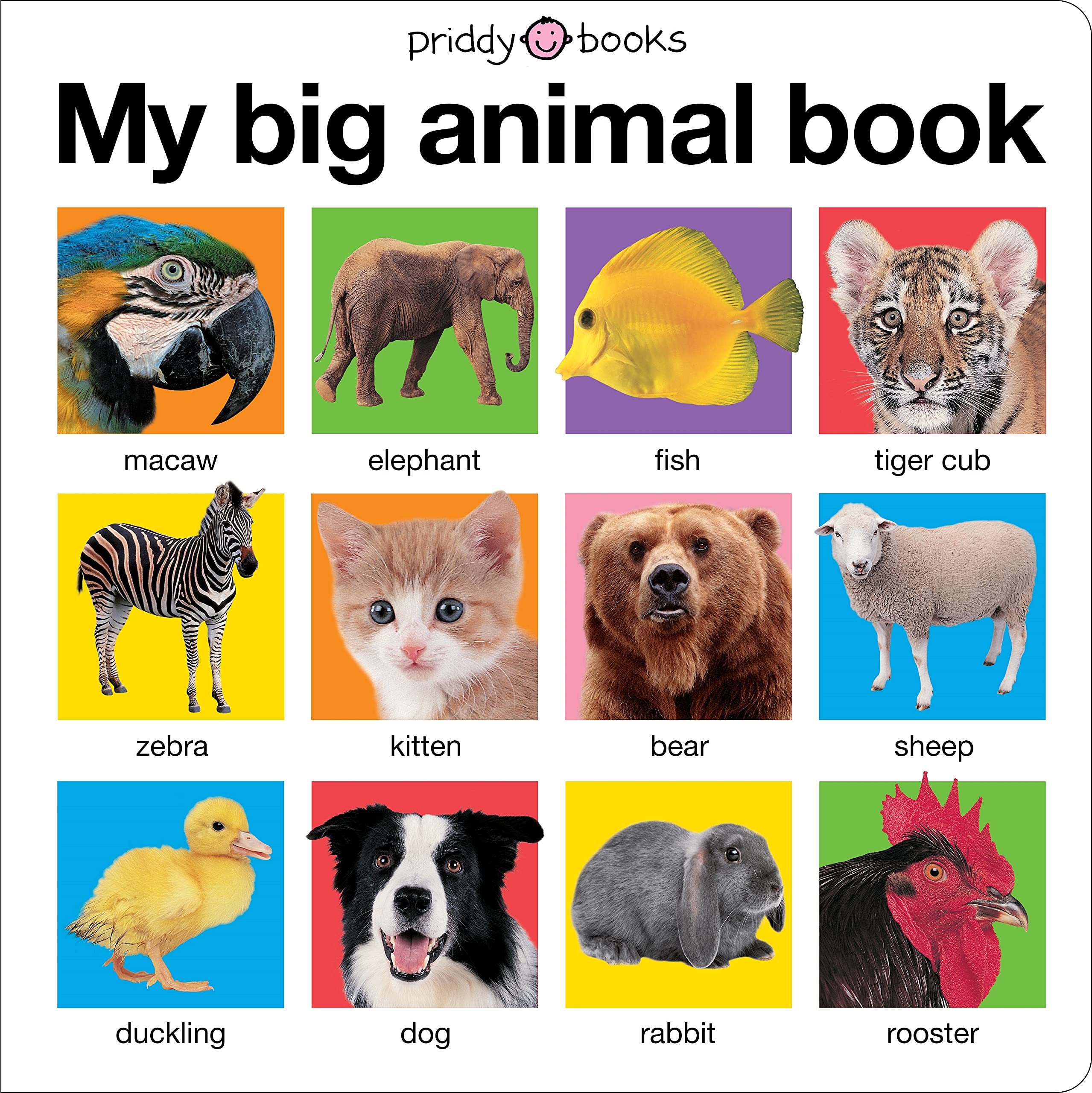 Mua My Big Animal Book (My Big Board Books) trên Amazon Mỹ chính hãng 2023  | Giaonhan247