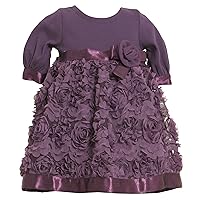 Bonnie Jean Little Girls' Dress Knit Bodice To Chiffon Skirt With Bonaz Trim