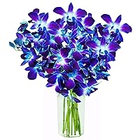 KaBloom PRIME NEXT DAY DELIVERY - Mother’s Day Collection - Blue Sapphire Orchid Bouquet of 10 Fresh Blue Orchid with Vase.Gift for Birthday,Thank You, Valentine, Mother’s Day Fresh Flowers