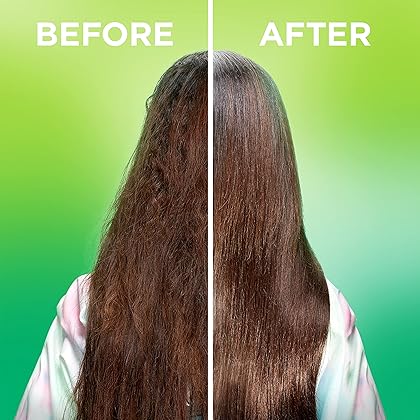 Garnier Fructis Sleek & Shine Leave-In Conditioning Cream for Frizzy, Dry Hair, Plant Keratin + Argan Oil, 10.2 Fl Oz, 1 Count (Packaging May Vary)