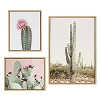 Kate and Laurel Sylvie Sunrise Cactus, Pink Cactus Flower and Cactus 25 Framed Canvas Wall Art Set by Amy Peterson Art Studio, 3 Piece Set 16x20 and 23x33 Natural, Southwest Desert Wall Décor