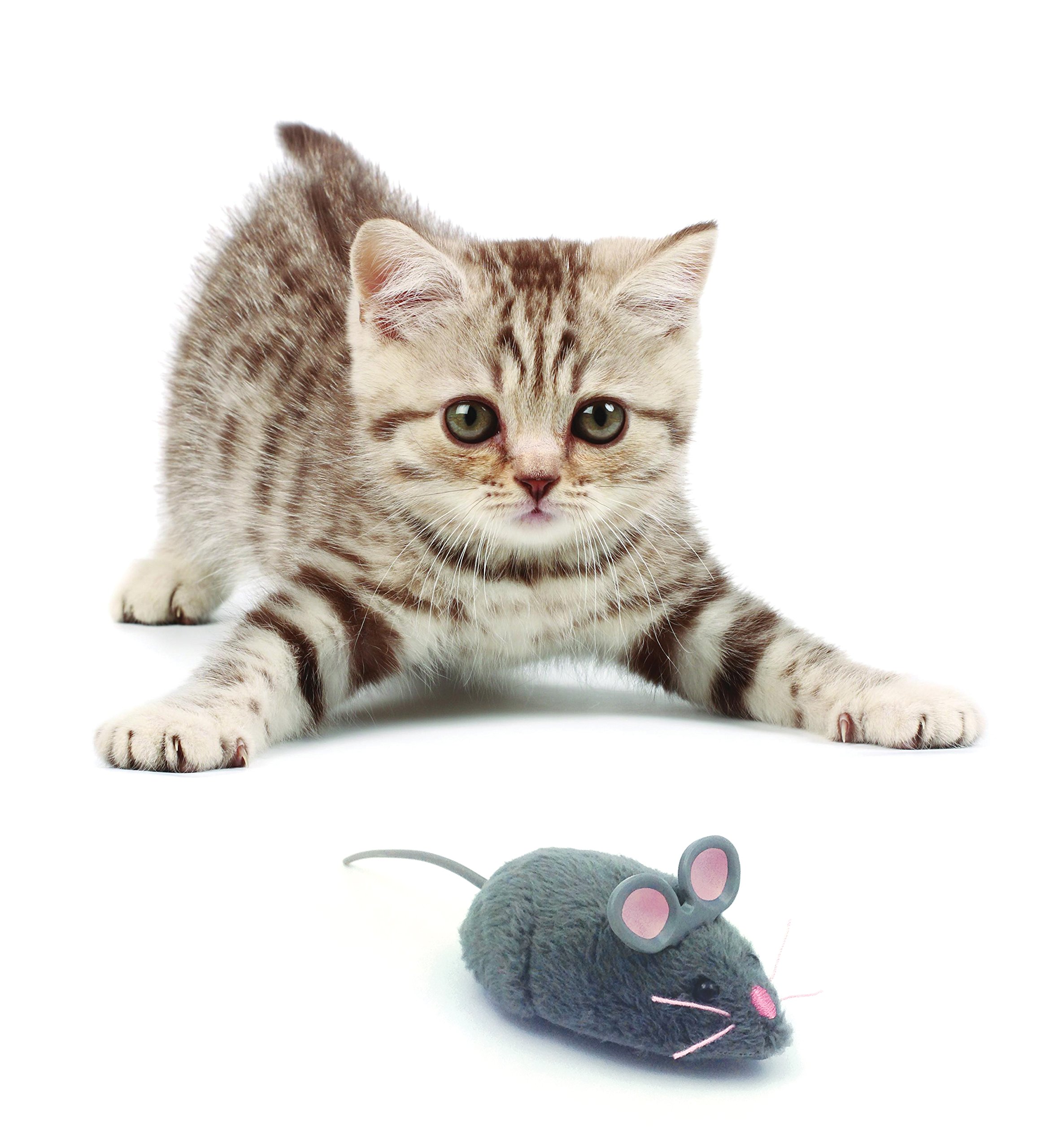 HEXBUG Mouse Robotic Cat Toy (GREY) for all breed sizes