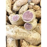 Fresh Purple Sweet Potatoes-4LBS