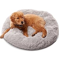 Premium Dog Beds for Large Dogs and Medium Dogs - Portable Dog Beds & Furniture - Dog Travel - Fits up to 25 lbs, (Small, Light Grey)