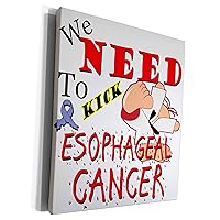 3dRose Kick Esophageal Cancer - Museum Grade Canvas Wrap (cw_202678_1)