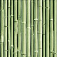 RMK11449WP Green Bamboo Peel and Stick Wallpaper, Roll, Green