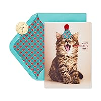 Papyrus Funny Cat Birthday Card (Indulge)